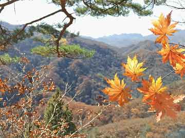 风从哪里来